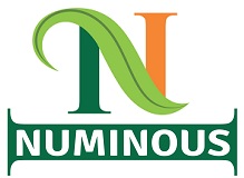 Numinous Products Pvt. Ltd.